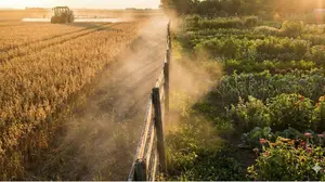 Atmospheric pesticide drift moving from conventional farms to organic fields via wind .