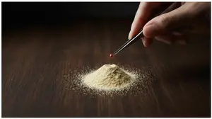 Hand removing erythritol crystals from the best monk fruit without erythritol powder, highlighting the danger of fillers.