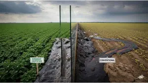Organic farm soil with a protective barrier blocking heavy metals in food contamination from sewage sludge, emphasizing the mathematical defense against toxic load.