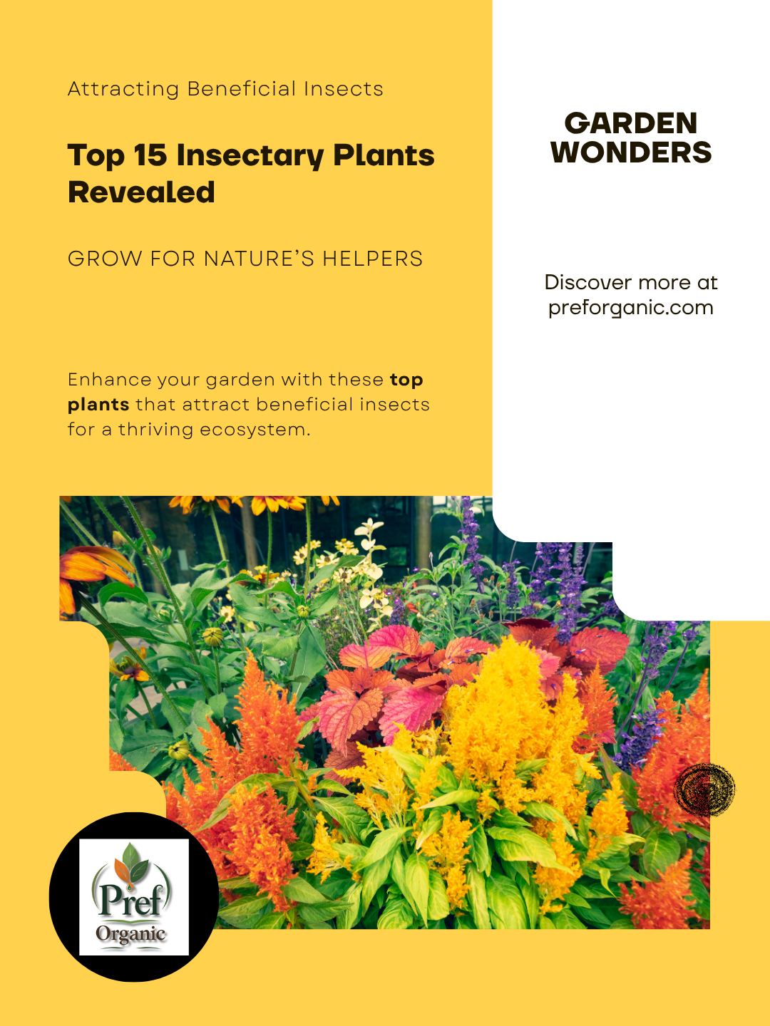 15 Insectary Plants