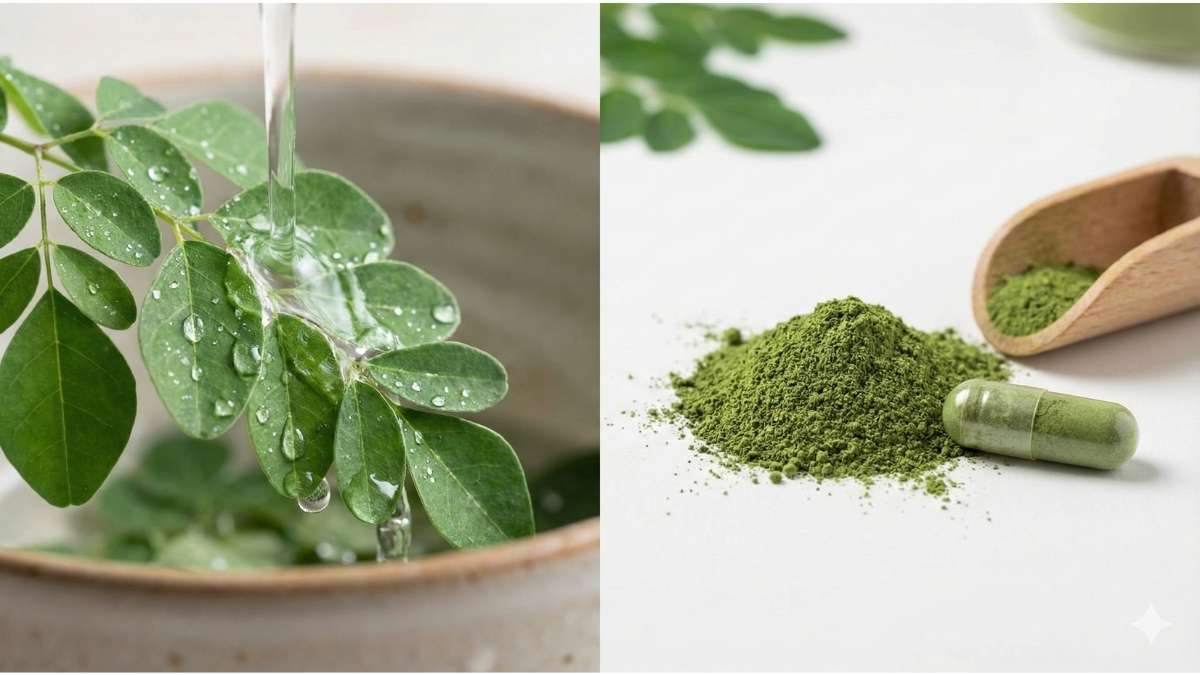 Fresh moringa leaves versus low-temperature dried green powder capsules showing color retention.