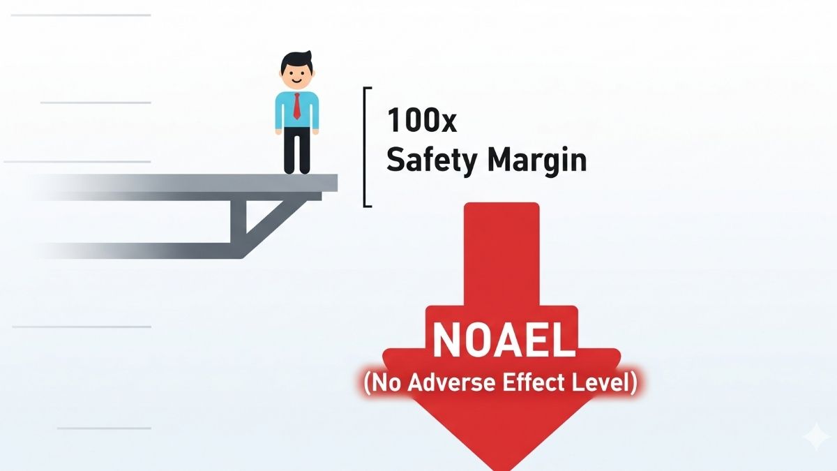 Split image showing the raw Stevia leaf versus the approved, high-purity steviol glycosides to illustrate the difference in stevia safety.