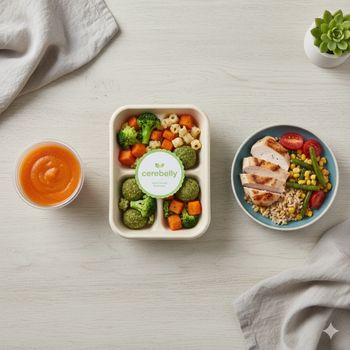 Developmental stages of the best organic baby food delivery service showing progression from purees to toddler meals.