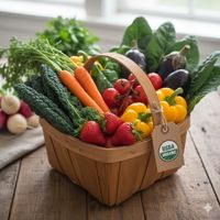 fresh vegetables fresh vegetables