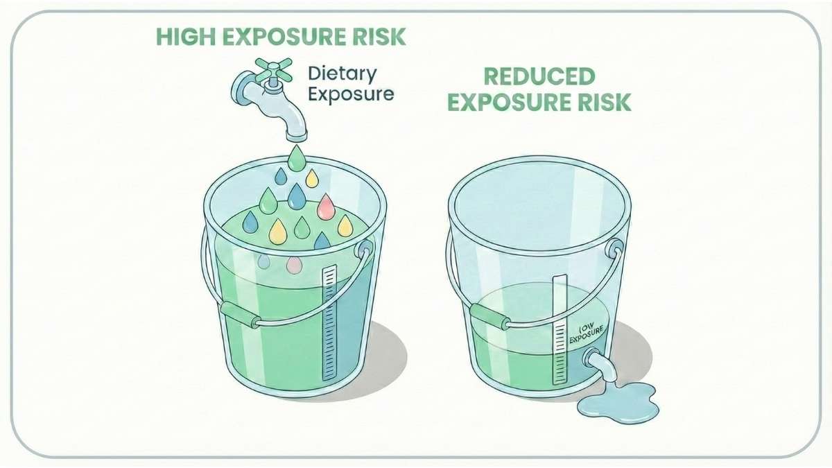 Diagram of a bucket overflowing with droplets representing chemical load