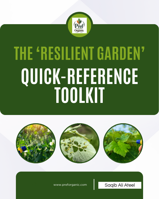 Quick Reference Toolkit