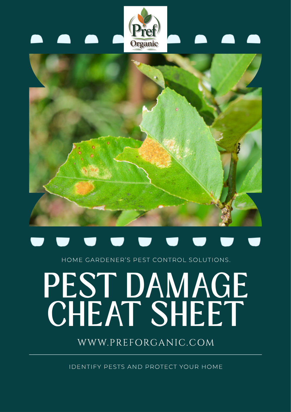 Pest Damage Cheat Sheet
