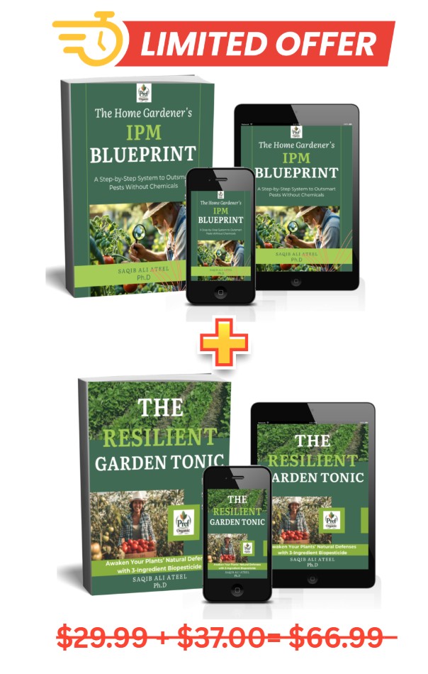 bundle-grden-priceless2