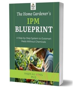 IPM Blueprint2
