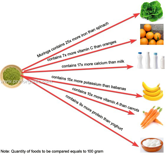 Benefits of Moringa Beat Popeye the Sailor’s Super Food Spinach