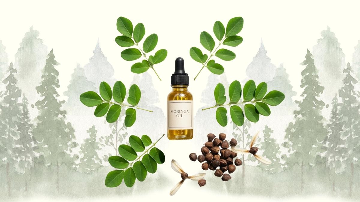 A bottle of golden moringa oil surrounded by fresh moringa leaves and seeds, illustrating the natural source of its benefits